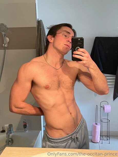 The Occitan Prince pornstar art archive