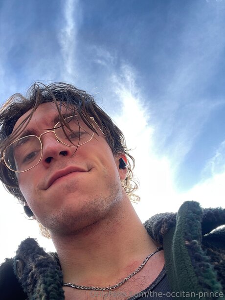 The Occitan Prince star art images