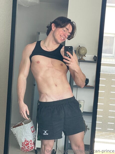 The Occitan Prince high quality model photo