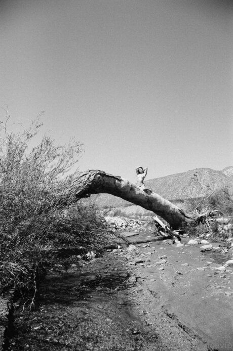 Tinyprudencevip star beautiful archive