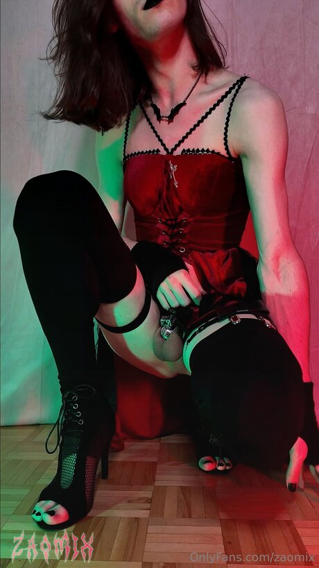 Zaomix star perfect picture