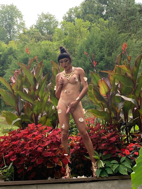 Venuslux pornstar high quality archive