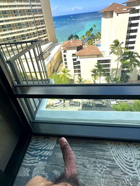 Dibarros1 star free galleries