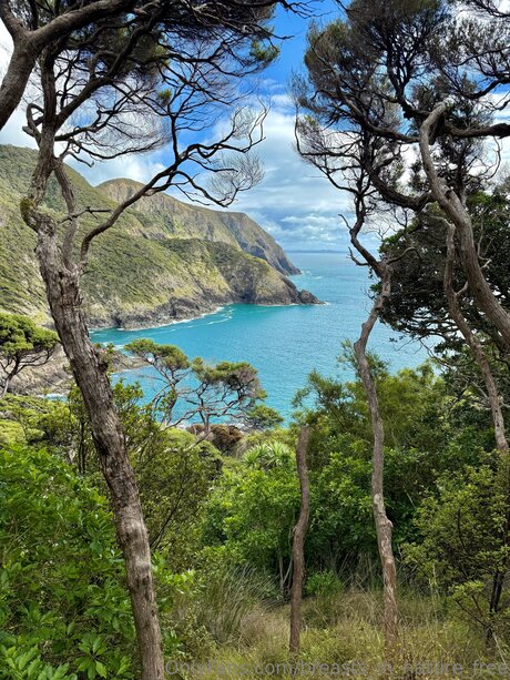 Breasts In Nature Free model nice galleries