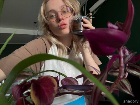 Shadory star free pictures