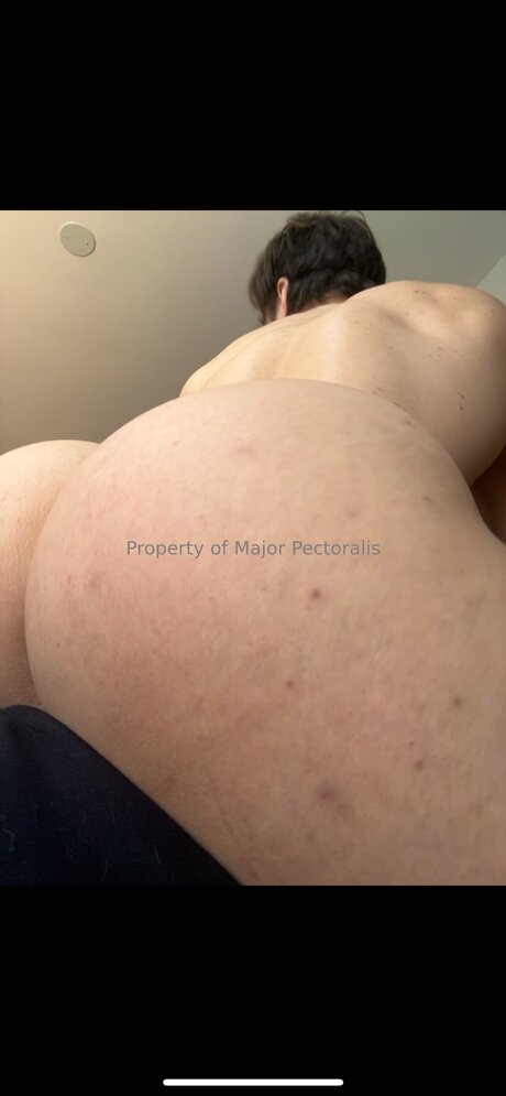 Majorpectoralis porn model img