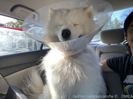 bbw interracial onlyfans perfect photo