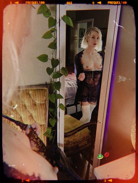 _Toadlips high quality pornstar img