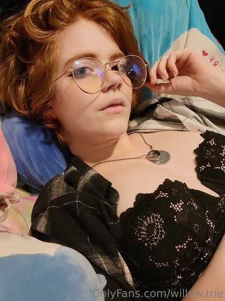 Willow Trie erotic star galleries