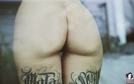 Zzef art actress picture