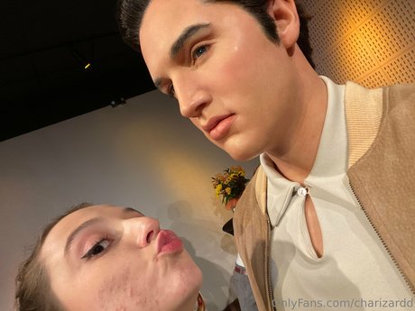 Charizard art model picture