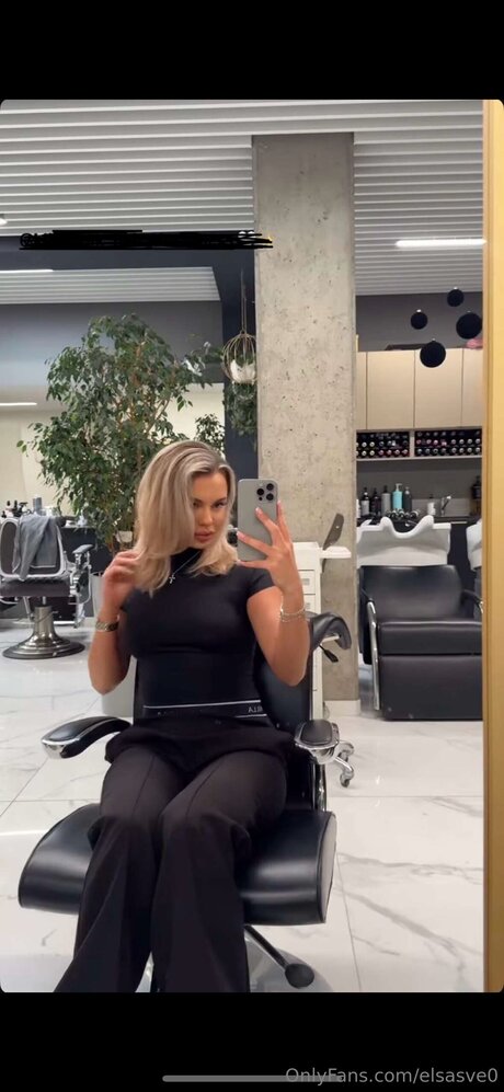 Elsasve0 model beautiful archive