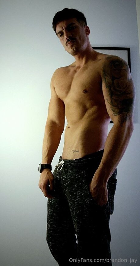 Brandon Jay pornographic actress pics