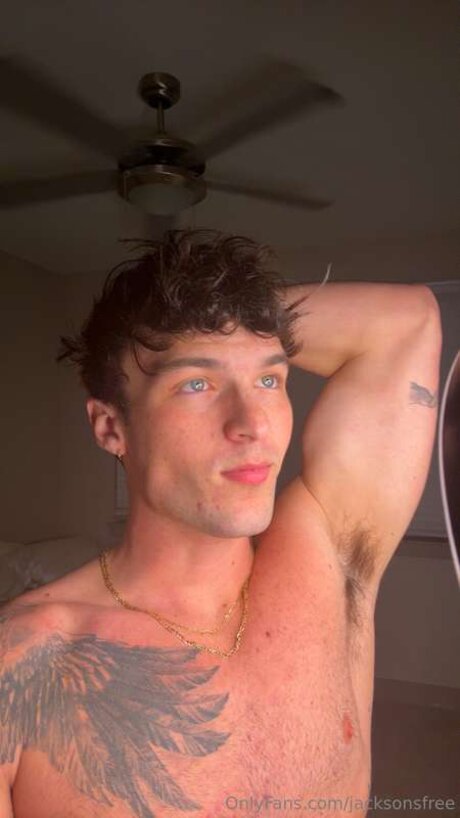 Jacksonsfree star top pics