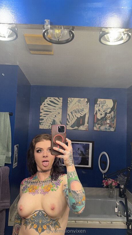 Vermilionvixen star beautiful images