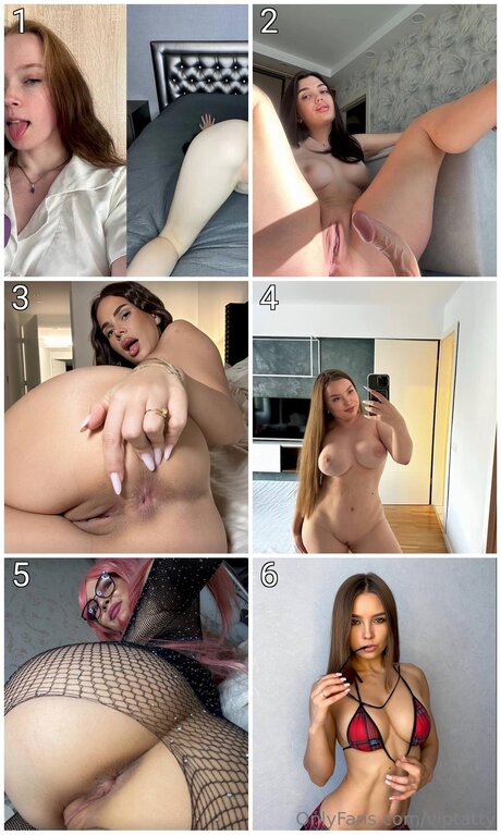 Viptatty porn star galleries
