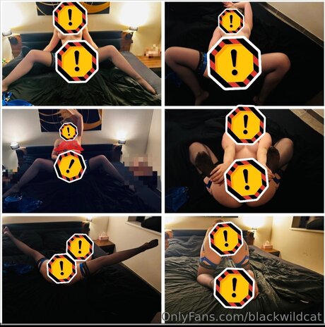 Blackwildcat high quality model images