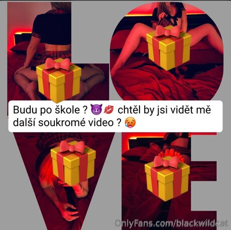 Blackwildcat sexy pornstar gallery