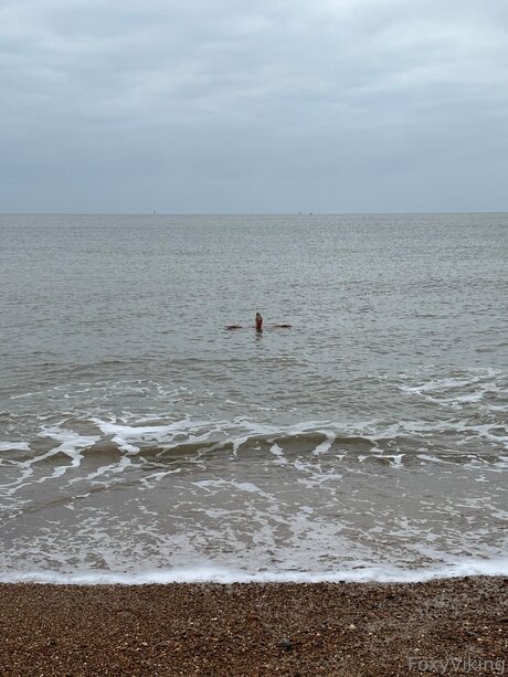 Foxyviking star sex pic