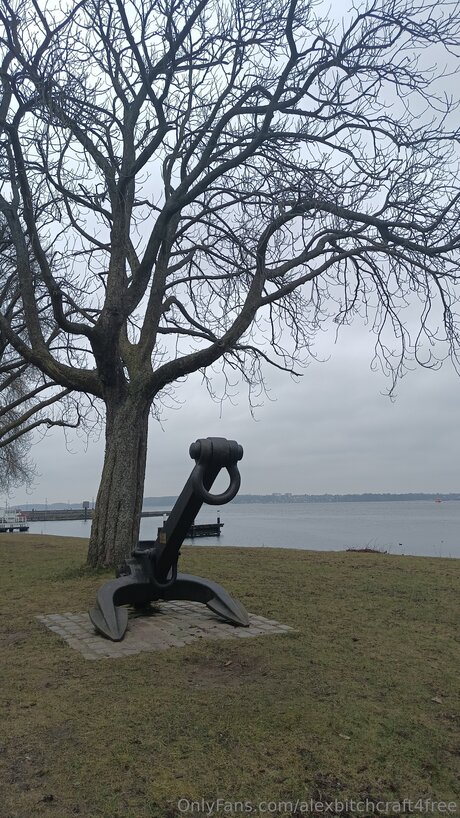 shemale blowjob onlyfans free sex img