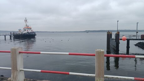 Alexbitchcraft4free pornstar pretty photo