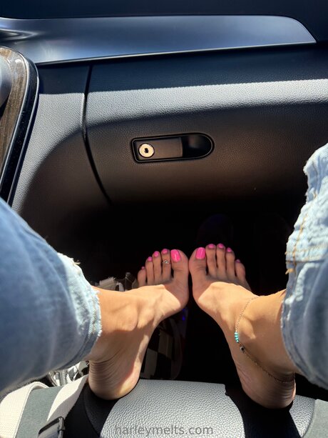 Harleymelts xxx actress photos