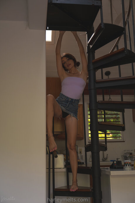 Harleymelts porn model img