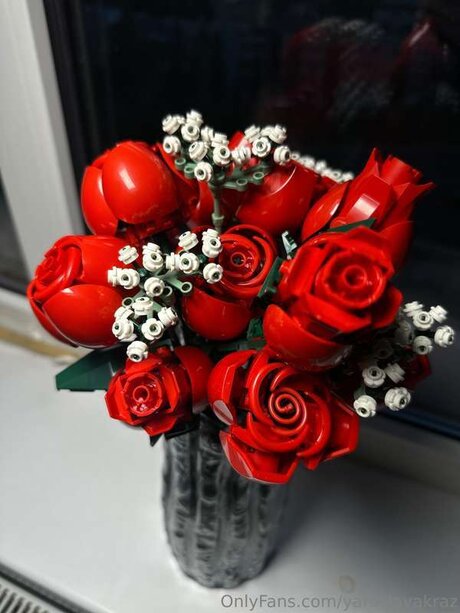 Yaroslavakraz star best images