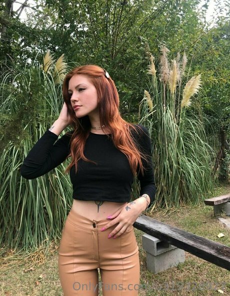 Laiibrusa free star galleries