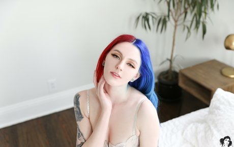 Zorii pornstar gallery