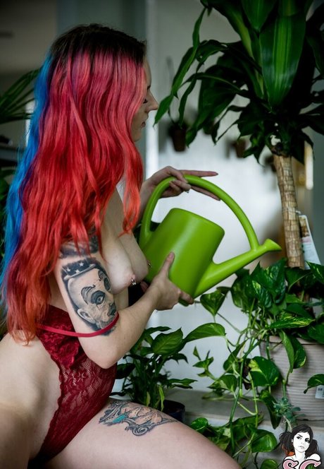 Zorii art pornstar pictures