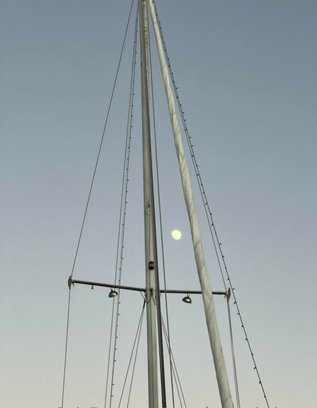 Thesavannaheleven model top gallery