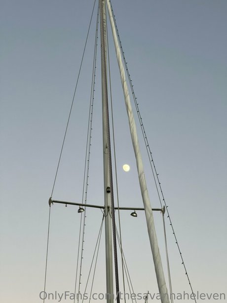 Thesavannaheleven xxx pornstar picture