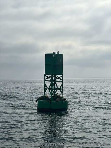 mature squirt onlyfans free xxx picture