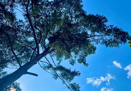 bisexual onlyfans best img