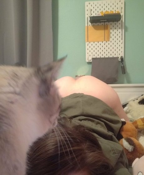 korviid star adult photo