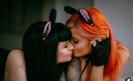 sgaustralia star free photo