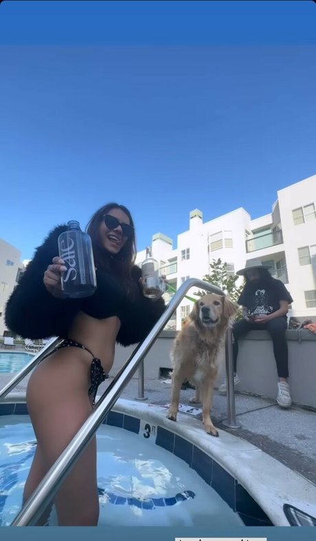 Noheli_ best pornstar picture