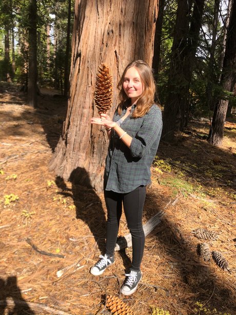 Caliwife13 Emma North pornstar high quality image