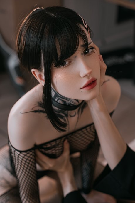 Vell Felice_ sex pornstar galleries