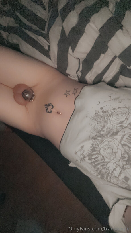 Transangie sex star pics