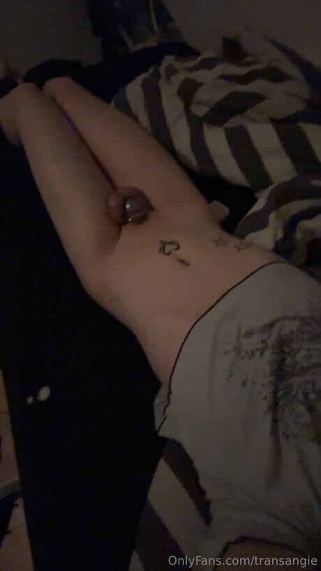 Transangie high quality star picture