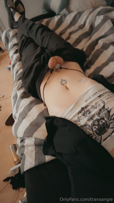 Transangie exclusive pornstar img