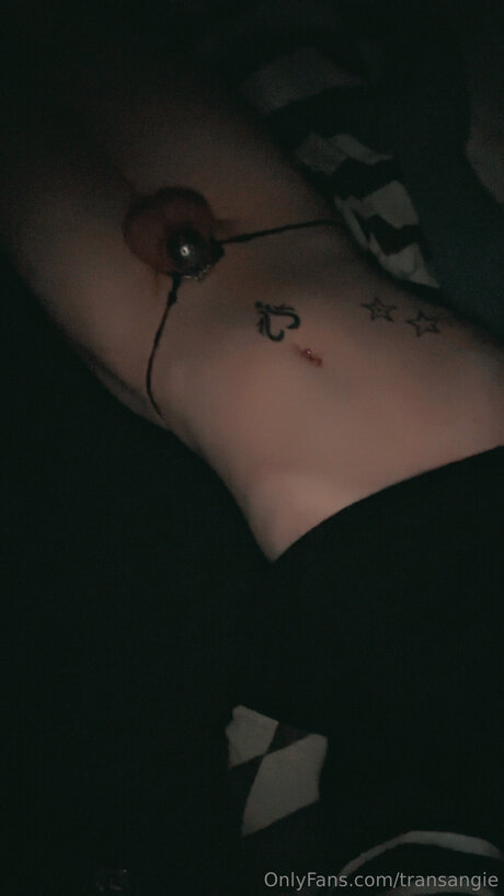 Transangie pornstar pretty img