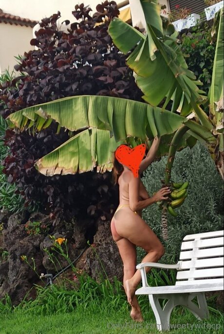 Sweetywifecp hd star pics