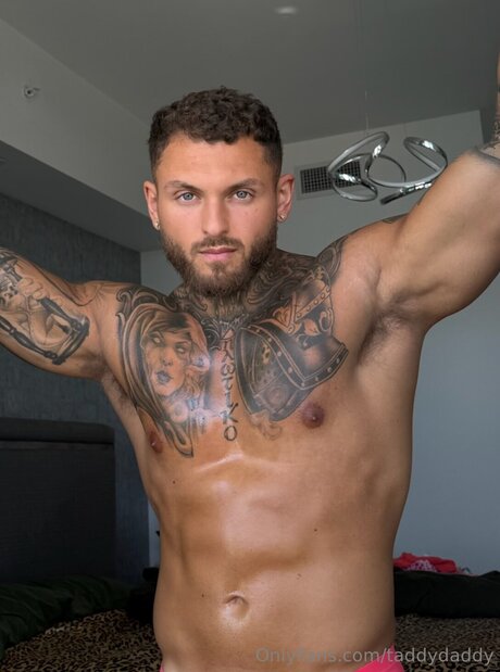 Taddydaddy sexy star archive