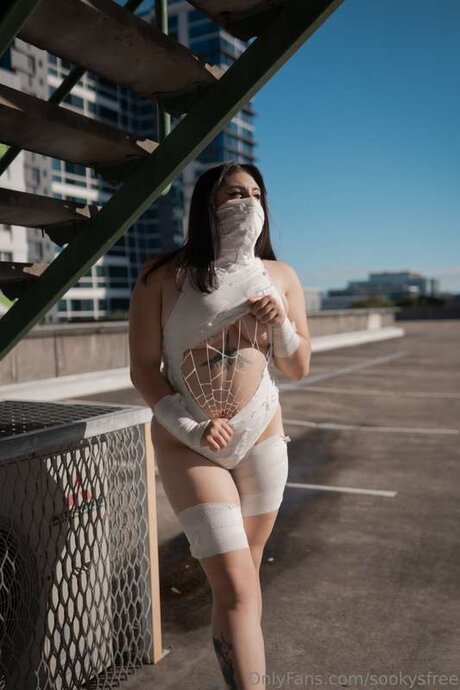 Sookysfree star erotic archive