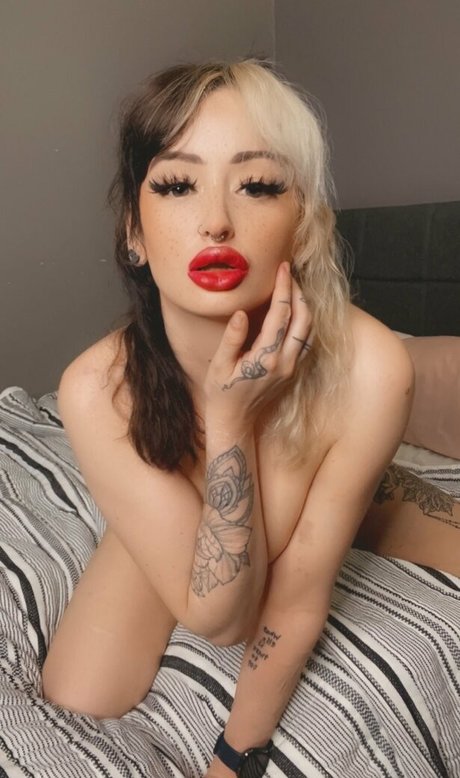 socio hoe beautiful star galleries