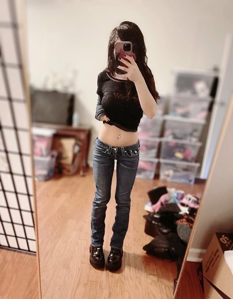 kiwisunset star nice archive