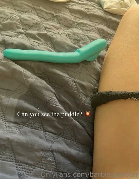 barbisuperstar top pornstar pics